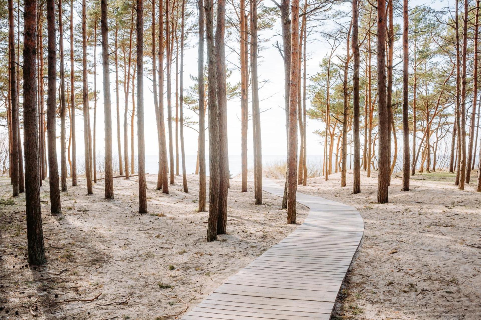 Hill Palanga & Spa Zewnętrze zdjęcie